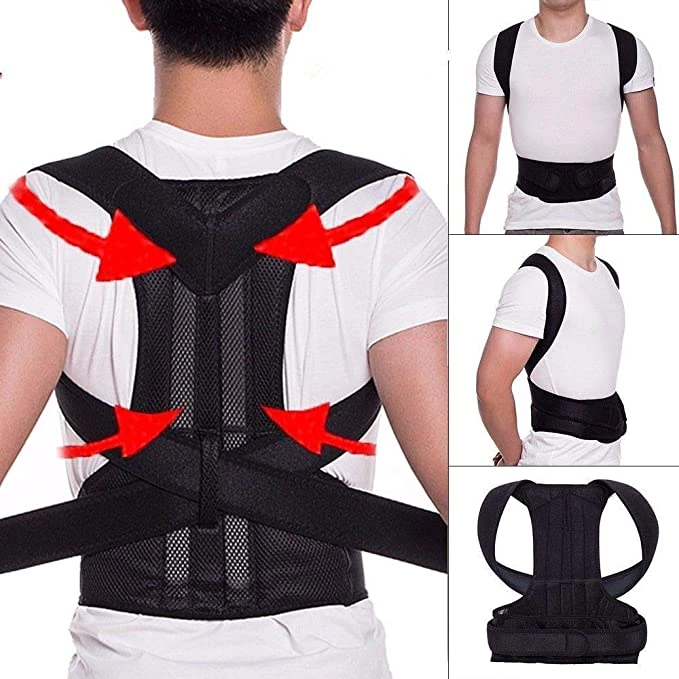 Back support belt