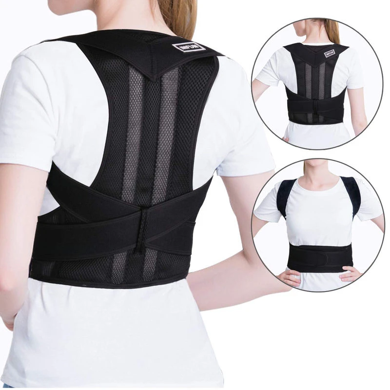 Back support belt