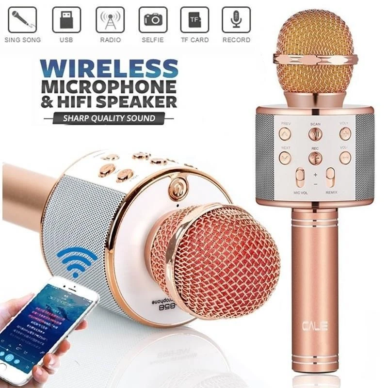 Wireless Mini Portable WS-858 Karaoke Microphone