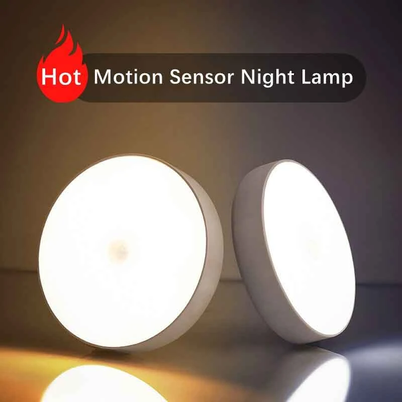 Motion sensor light